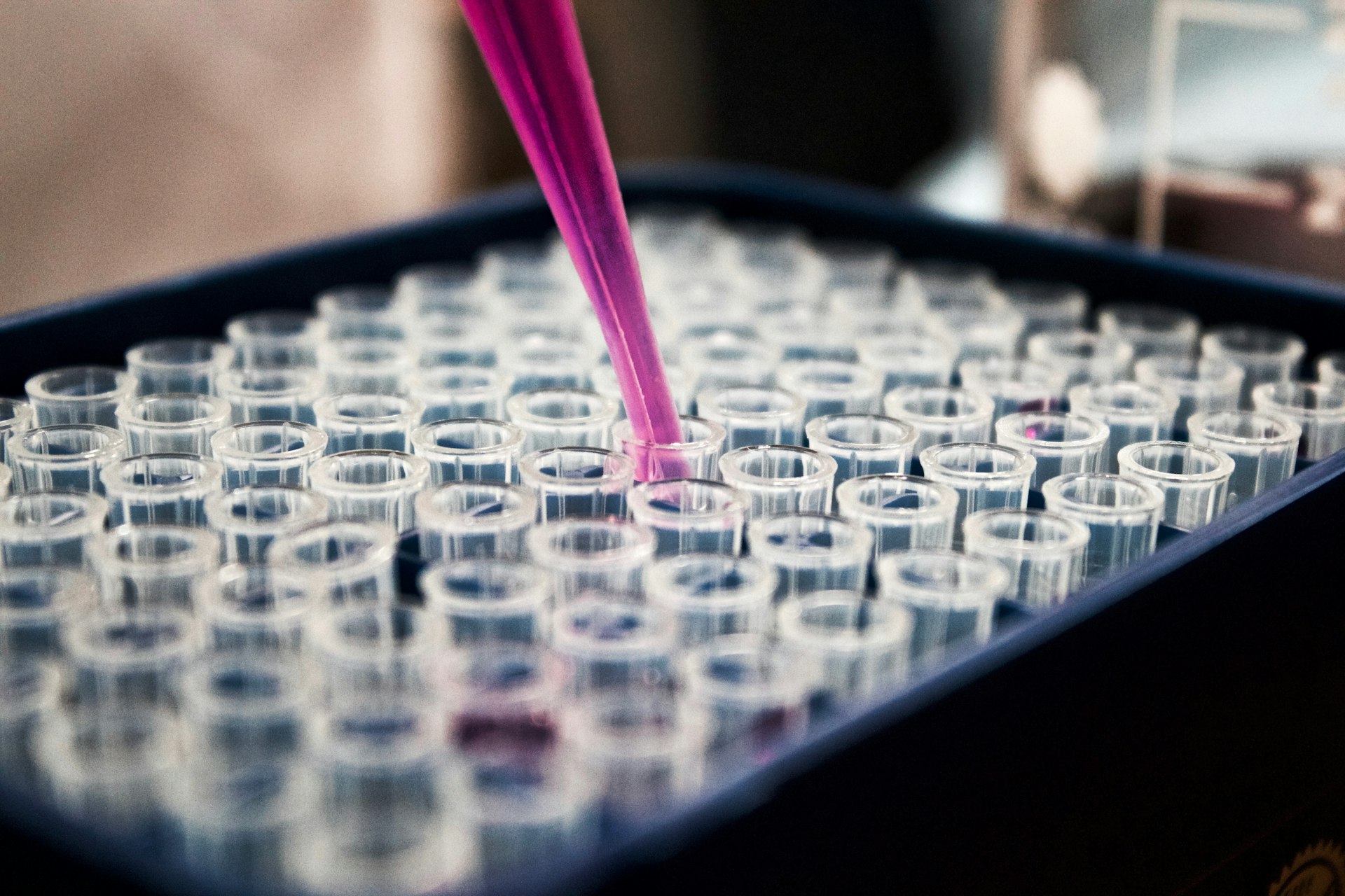 Healthcare operations analytics showing predictive modeling and staffing optimization