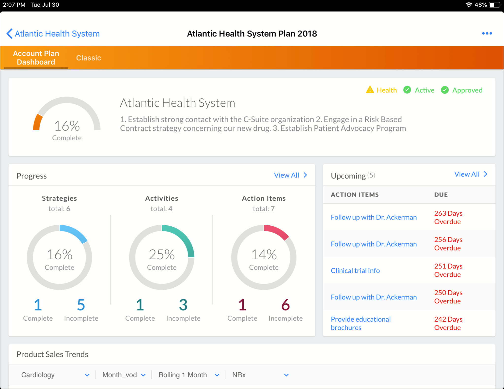 Atlantic Health System Account Plan Dashboard Overview
