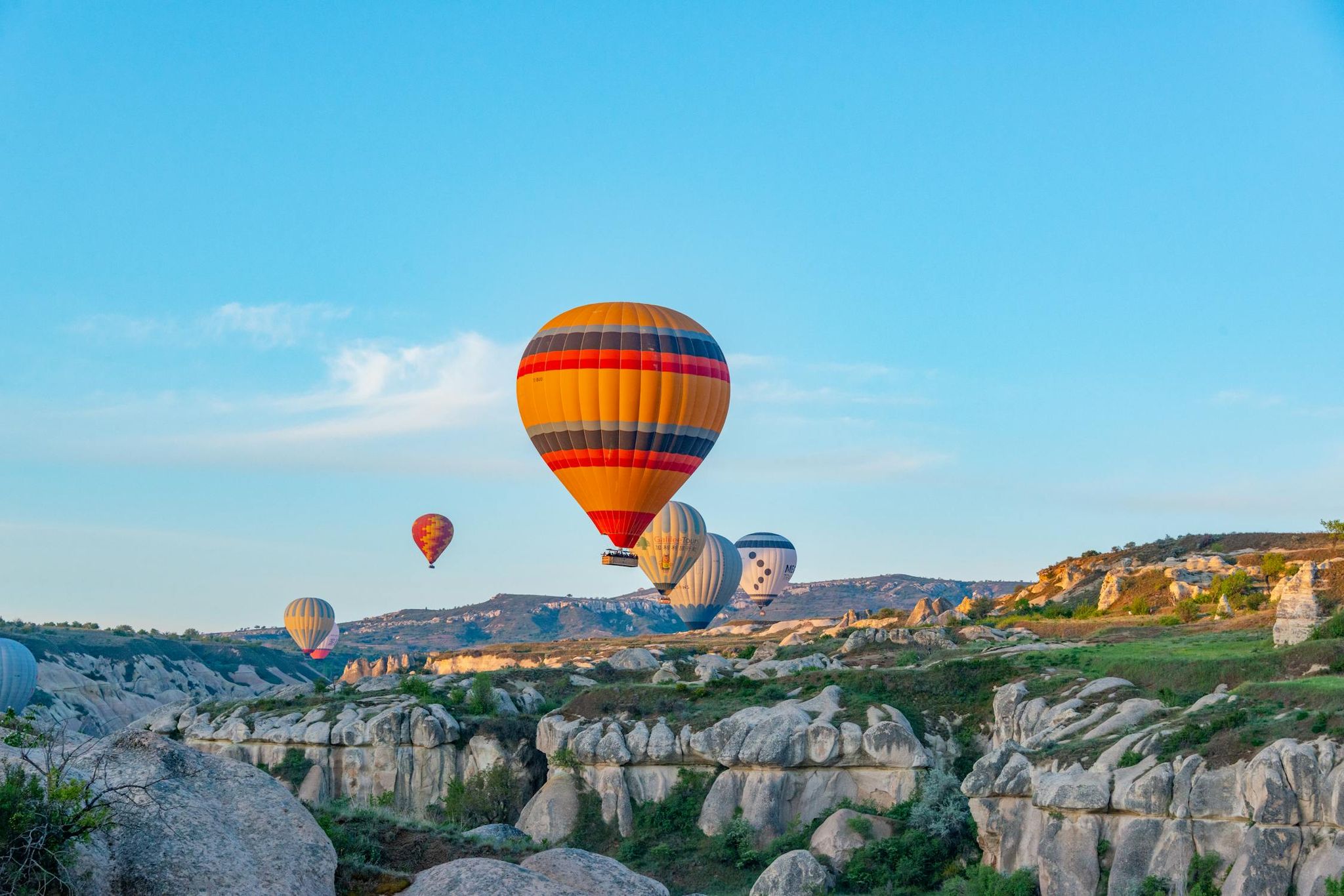 Scenic landscape with hot air balloons