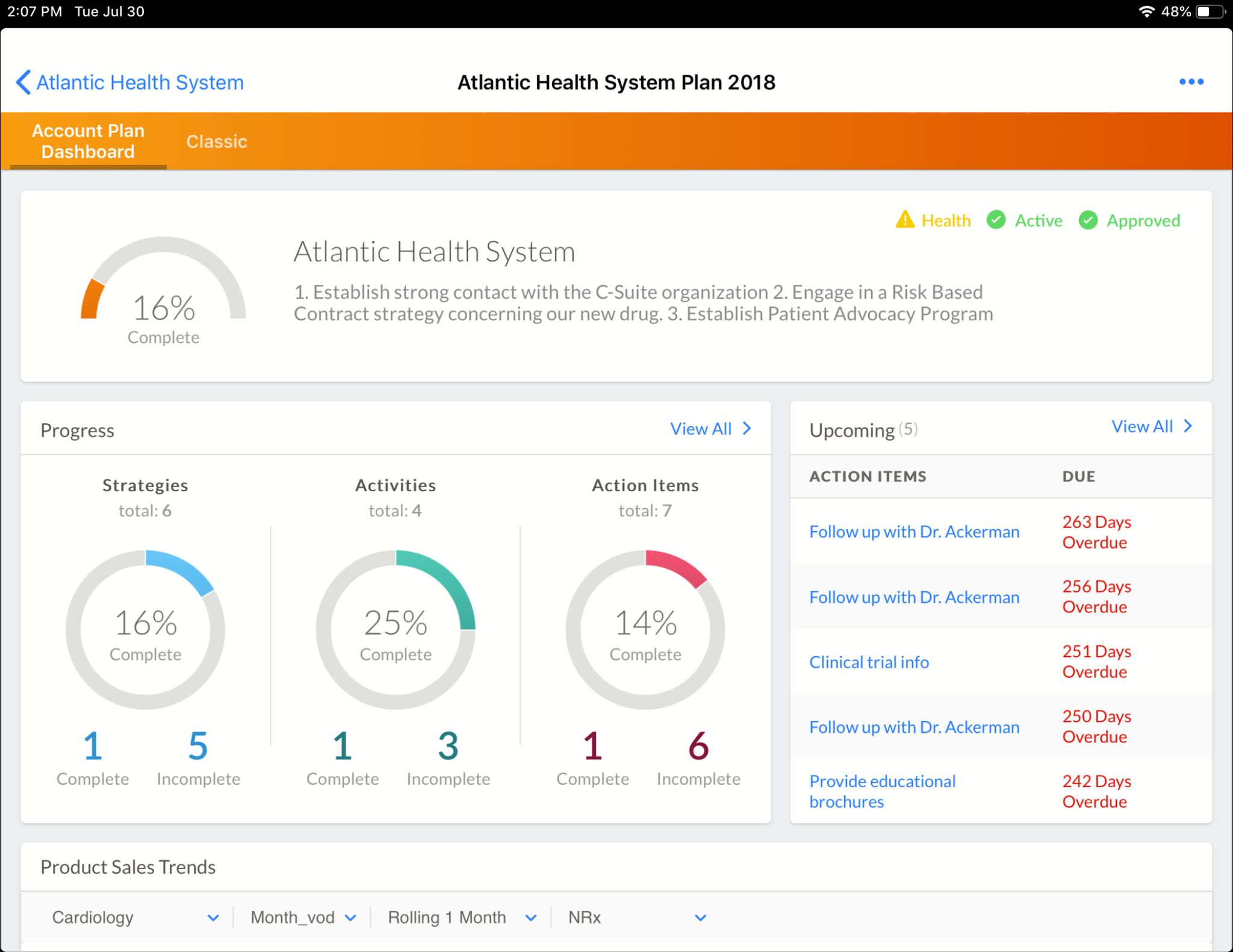 Atlantic Health System Account Plan Dashboard Overview